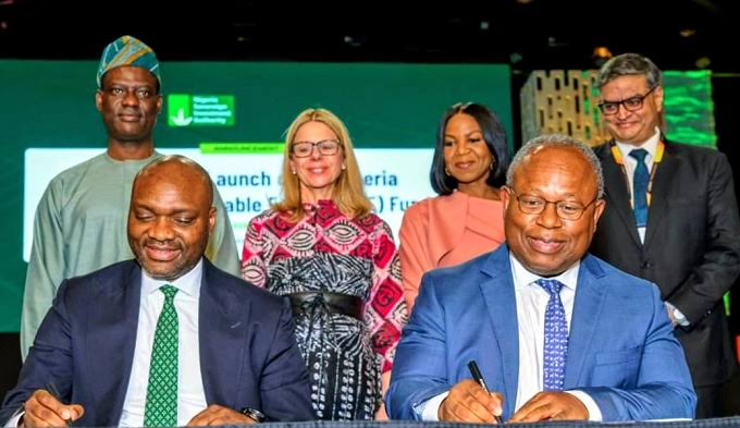 $300m Nigeria Renewable Energy Fund Moves Into Commercial Deployment
